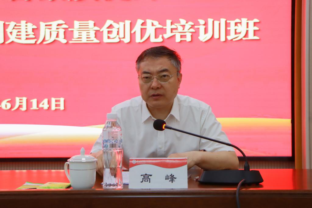 20240614问鼎网中国举办党务干部综合素质提升暨党建工作示范创建质量创优培训班 (1).jpg